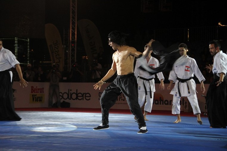 Martial Arts Festival